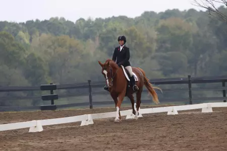 Emma Mandarino, Flat