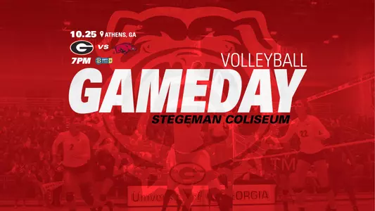 VB Gameday - Arkansas