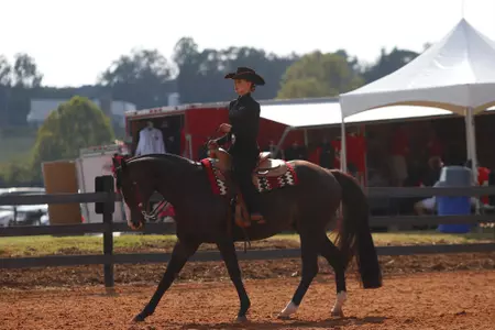 maddie anger, horsemanship