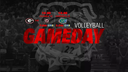 VB Gameday SC & Fla