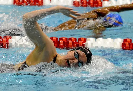 Chantal Van Landeghem