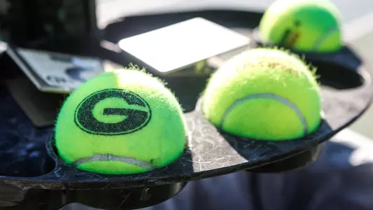 Tennis ball generic