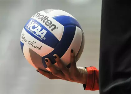 Volleyball Ball