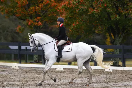 Ali Tritschler AU meet