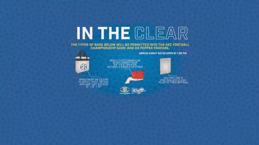 18FB SEC Clear Bag Policy