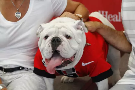 Uga at 2017 Fan Day
