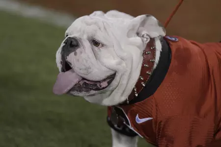 Uga X during the BulldogsÕ game against Mississippi State at Sanford Stadium in Athens, Ga., on Saturday, Sept. 2, 2017. (Photo by John Kelley)