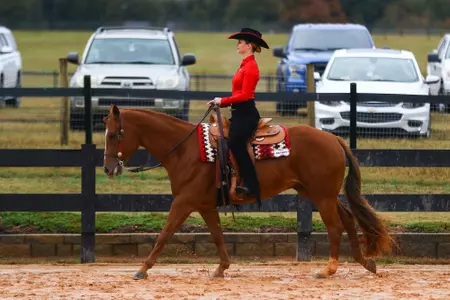 Miller Lantis Auburn Home