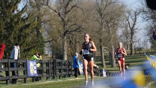 Georgia Cross Country Highlights from SEC Championships