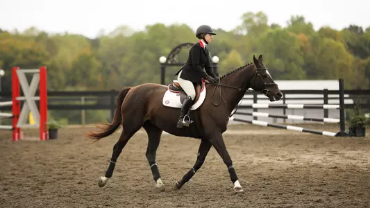 19EQ Ali Tritschler