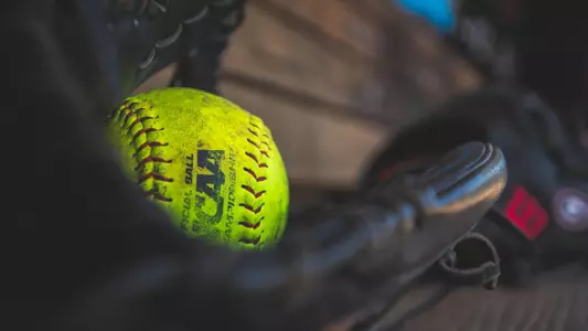 glove