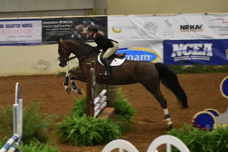 Mairano NCEA quarter