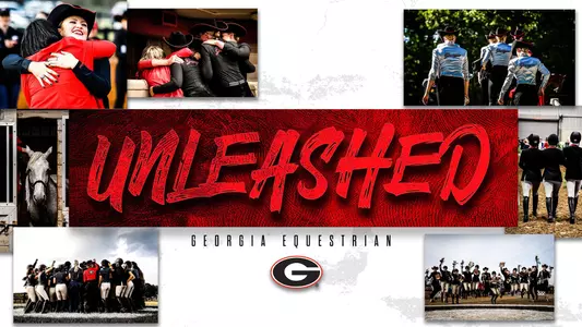 unleashed season graphic