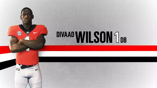 19FB Bio Background - Divaad Wilson