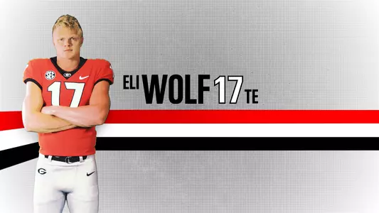 19FB Bio Background - Eli Wolf
