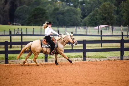 Lawson Red and Black
