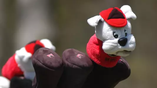 UGA golf bag