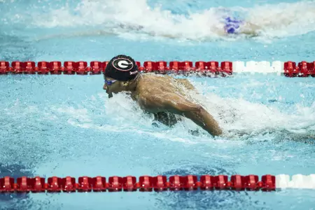 Georgia swimmer Camden Murphy during a meet against Florida at the Gabrielsen Natatorium in Athens, Ga., on Friday, Oct. 30, 2020. (Photo by Tony Walsh)