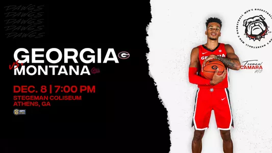 20MBB Notes - Montana