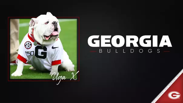 Generic Georgia Bulldogs Graphic