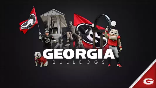 Generic Georgia Bulldogs Graphic