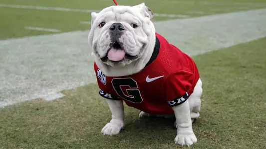 NCAA Football: Florida at Georgia