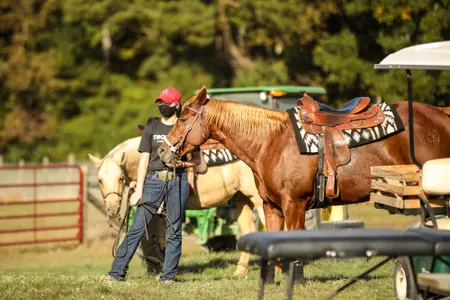 Georgia rider Carley Yosurack during an equestrian meet between Georgia and Auburn at the UGA Equestrian Complex in Bishop, Ga., on Saturday, Oct. 23, 2020. (Photo by Chamberlain Smith)
