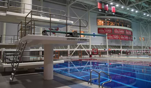 Diving general photo