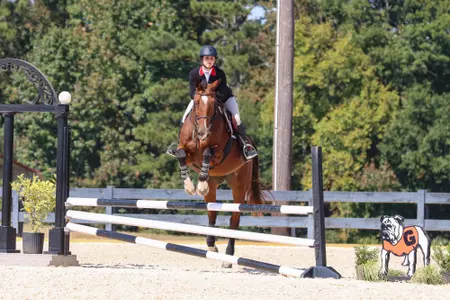 Georgia during a meet against Auburn at the UGA Equestrian Complex in Bishop, Ga., on Saturday, Oct. 7, 2022. (Photo by Kari Hodges)