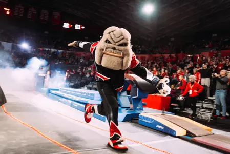 Hairy Dawg at Gymnastics
