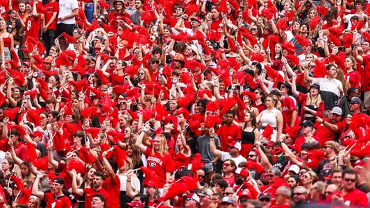 Georgia football fans