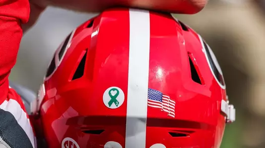 Mental health awareness game helmet decal during the Arkansas game on Oct.
