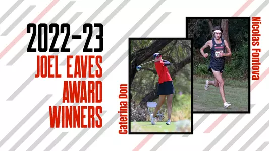 Joel Eaves Award
