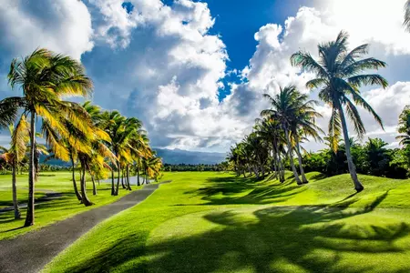 Puerto Rico Classic - Grand Reserve Golf Club