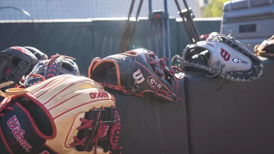 Generic Softball Banner