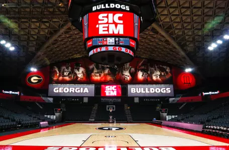 Stegeman
