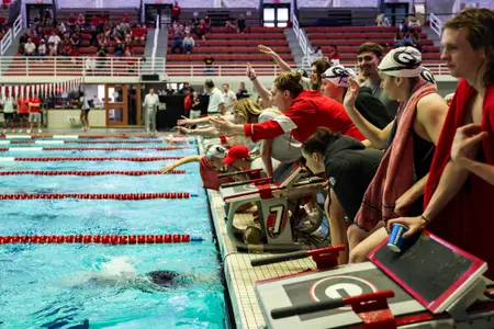 Georgia Swim & Dive