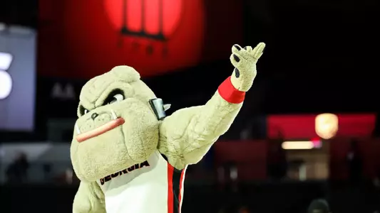 Hairy Dawg - Basketball
