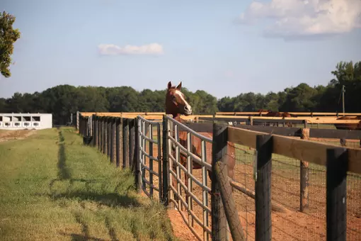 UGA Equestrian Complex - Facility
