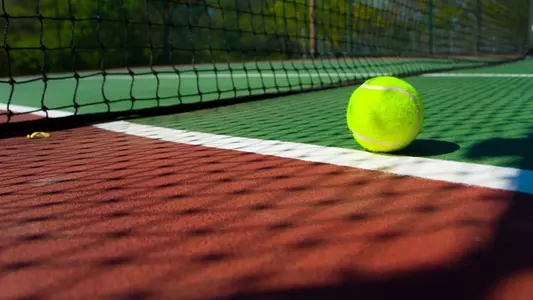Tennis ball on court near net