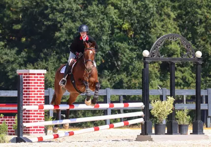 Equestrian vs Auburn