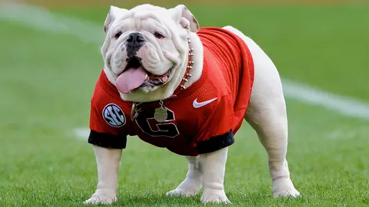 Uga X - Que