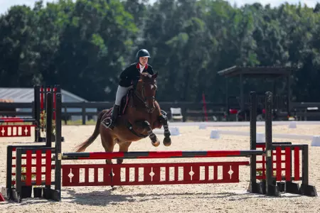Georgia rider Melissa Deryn Foster during Georgia’s meet against TCU at UGA Equestrian Complex in Bishop, GA., on Saturday, Sept. 28, 2024. (Adison Marsh/UGAAA)
