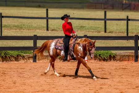 Georgia rider Alyvia Dixon during the Georgia Equestrian Red and Black Scrimmage at UGA Equestrian Complex in Bishop, Ga., on Saturday, Sept. 21, 2024. (Conor Dillon/UGAAA)