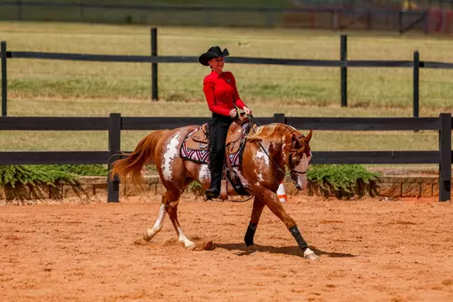 Georgia rider Alyvia Dixon during the Georgia Equestrian Red and Black Scrimmage at UGA Equestrian Complex in Bishop, Ga., on Saturday, Sept. 21, 2024. (Conor Dillon/UGAAA)