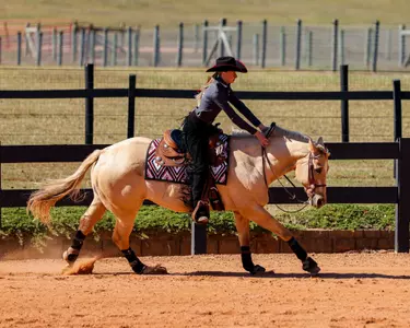 Georgia rider Raegan Shepherd during Georgia’s meet against SMU at UGA Equestrian Complex in Bishop, Ga., on Friday, Oct. 18, 2024. (Sofia Yaker/UGAAA)