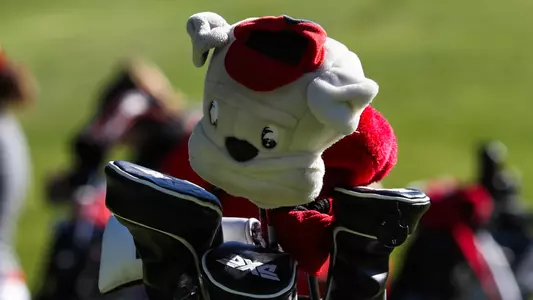 UGA women's golf bag