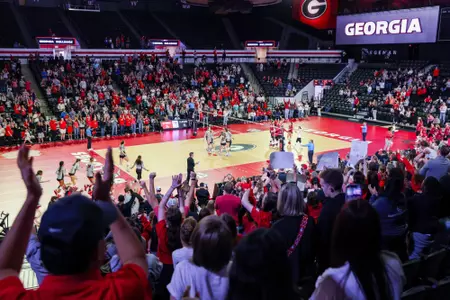 Stegeman Coliseum - Volleyball 2023