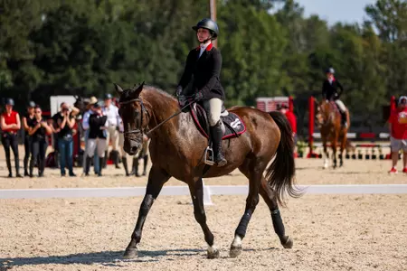 Georgia rider Tessa Brown during the Georgia Equestrian Red and Black Scrimmage at UGA Equestrian Complex in Bishop, Ga., on Saturday, Sept. 21, 2024. (Conor Dillon/UGAAA)