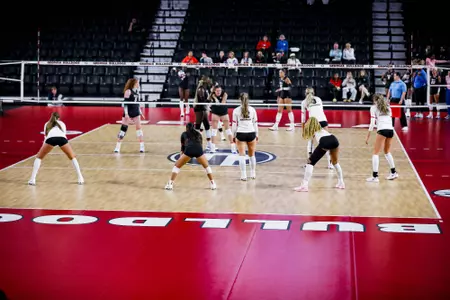 Georgia outside hitter Olivia Borgman (2), Georgia libero and defensive specialist Makena Lim (5), Georgia setter Chloe Elarton (12), Georgia outside hitter Bianna Muoneke (13), Georgia middle blocker and opposite hitter MK Patten (3), Georgia middle blocker Tori Harper (1) during Georgia’s match against Florida at Stegeman Coliseum in Athens, Ga., on Friday, Oct. 31, 2025. (Gabriel Cox/UGAAA)